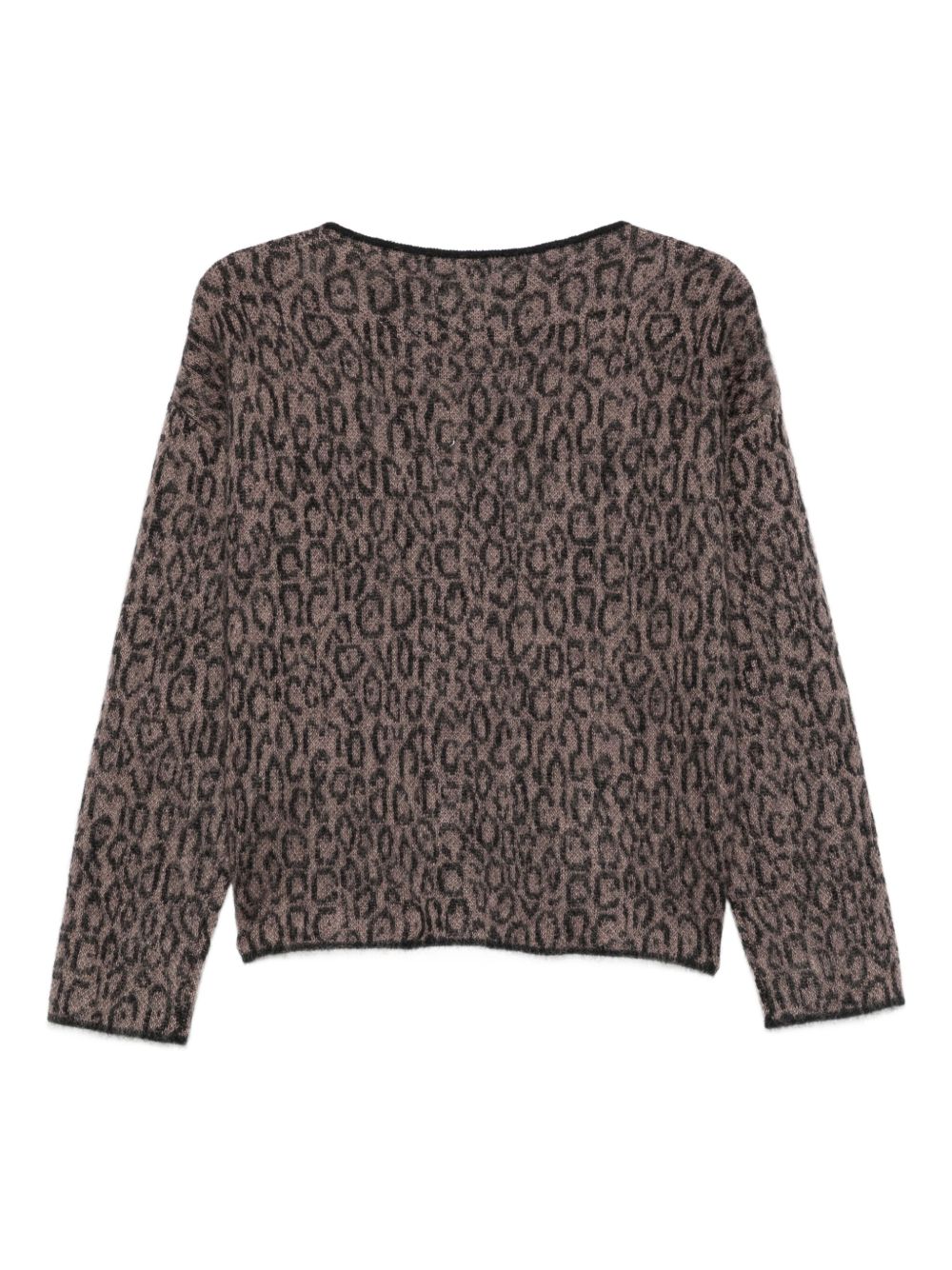 Emporio Armani Leopard-print crew-neck sweater