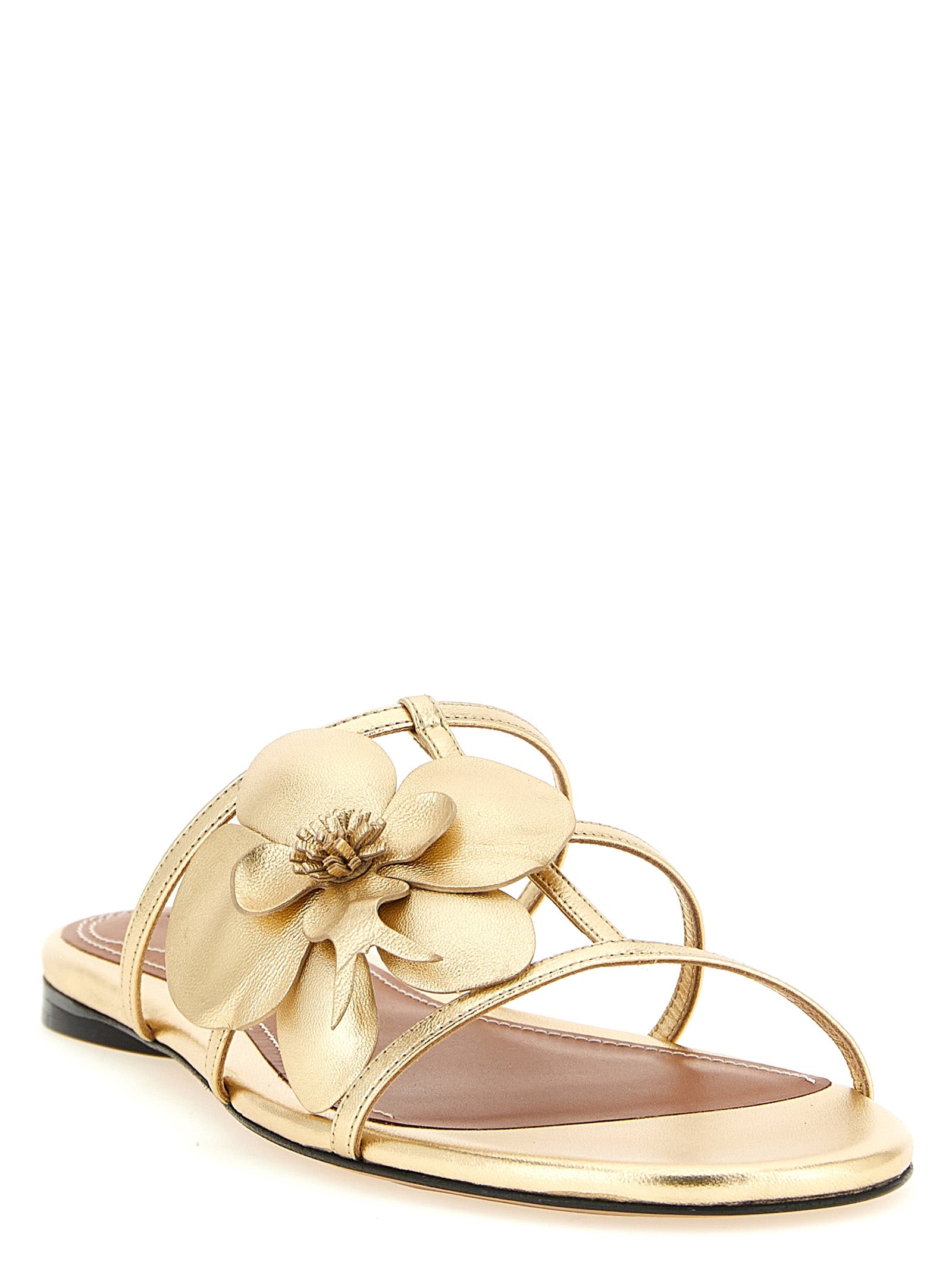 Zimmermann Orchid Slides