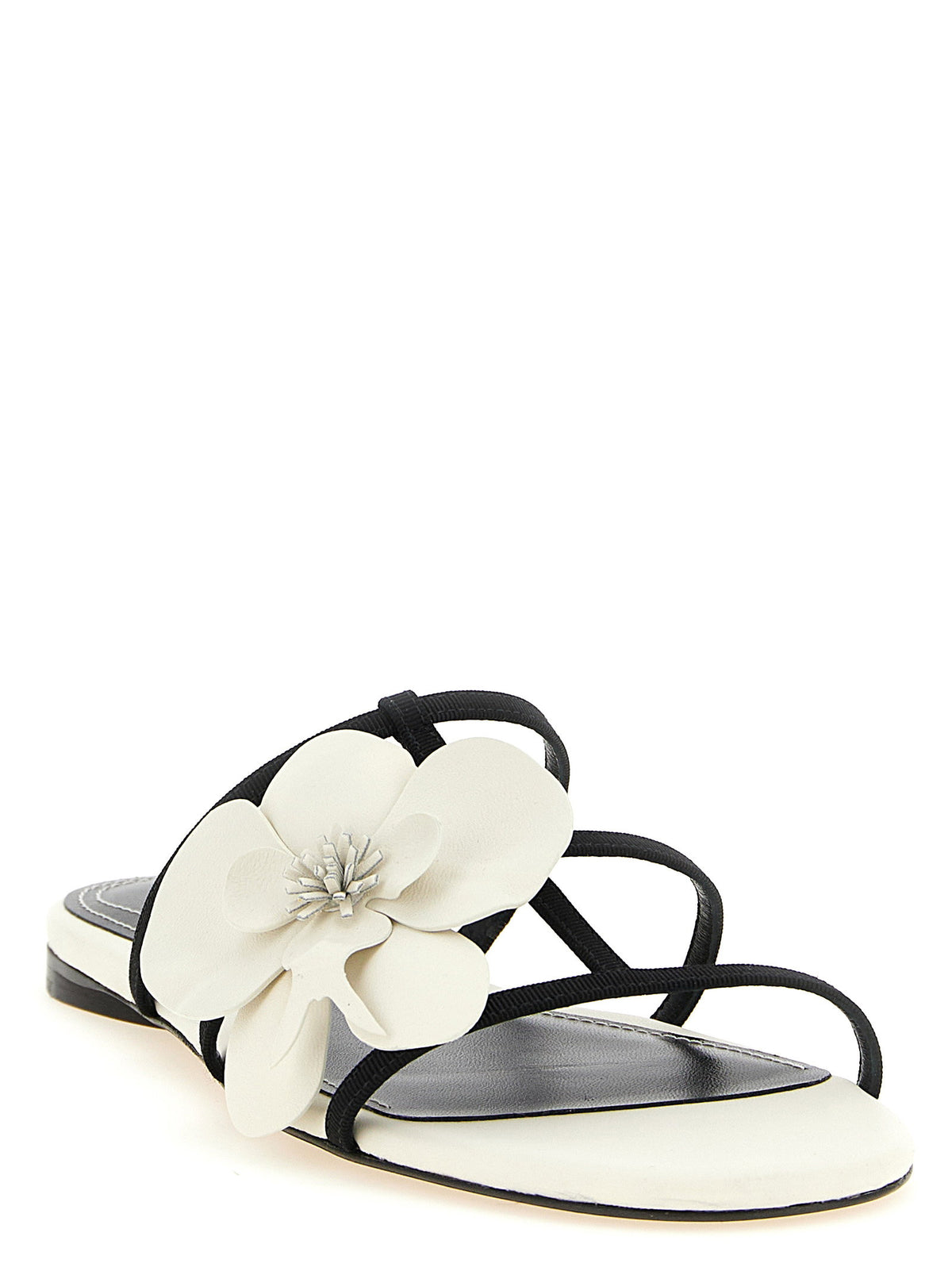 Zimmermann Orchid Slides