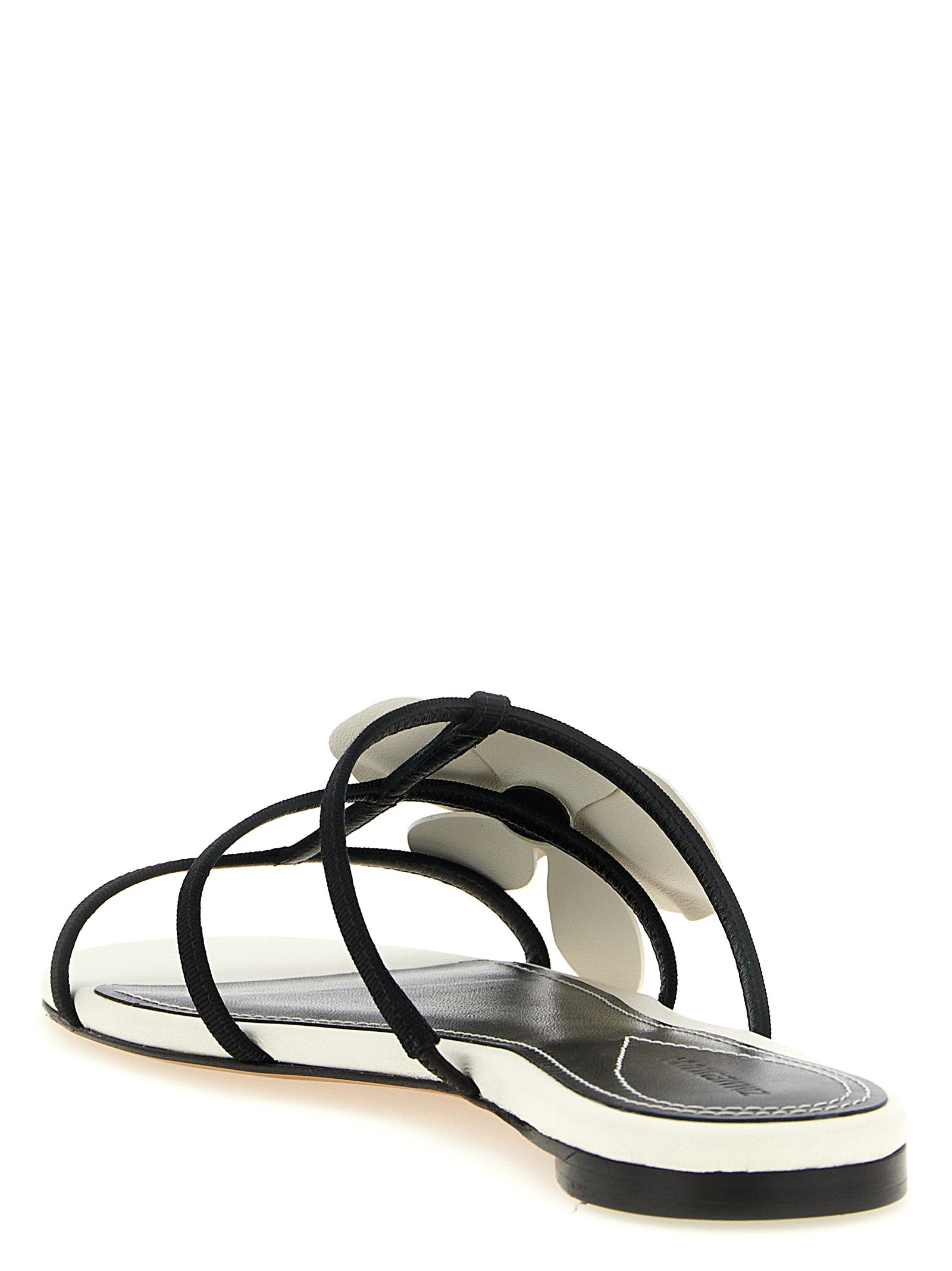 Zimmermann Orchid Slides