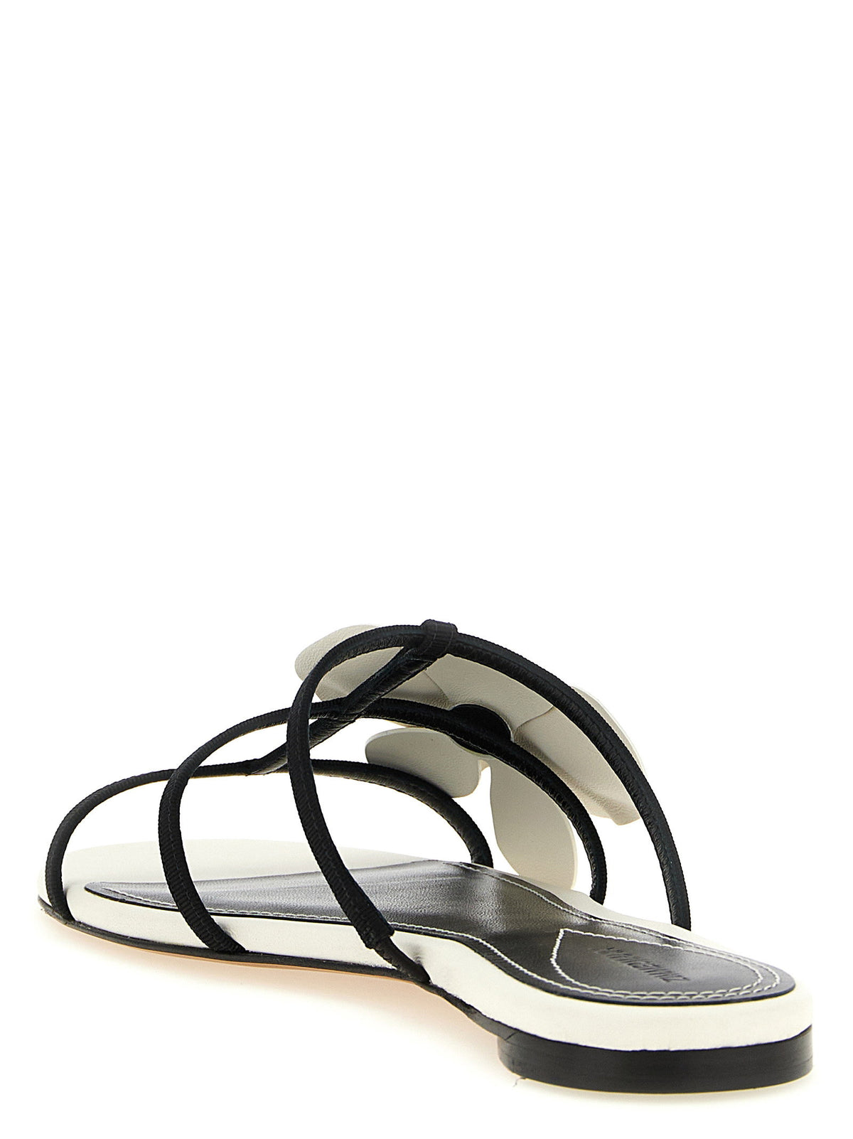Zimmermann Orchid Slides