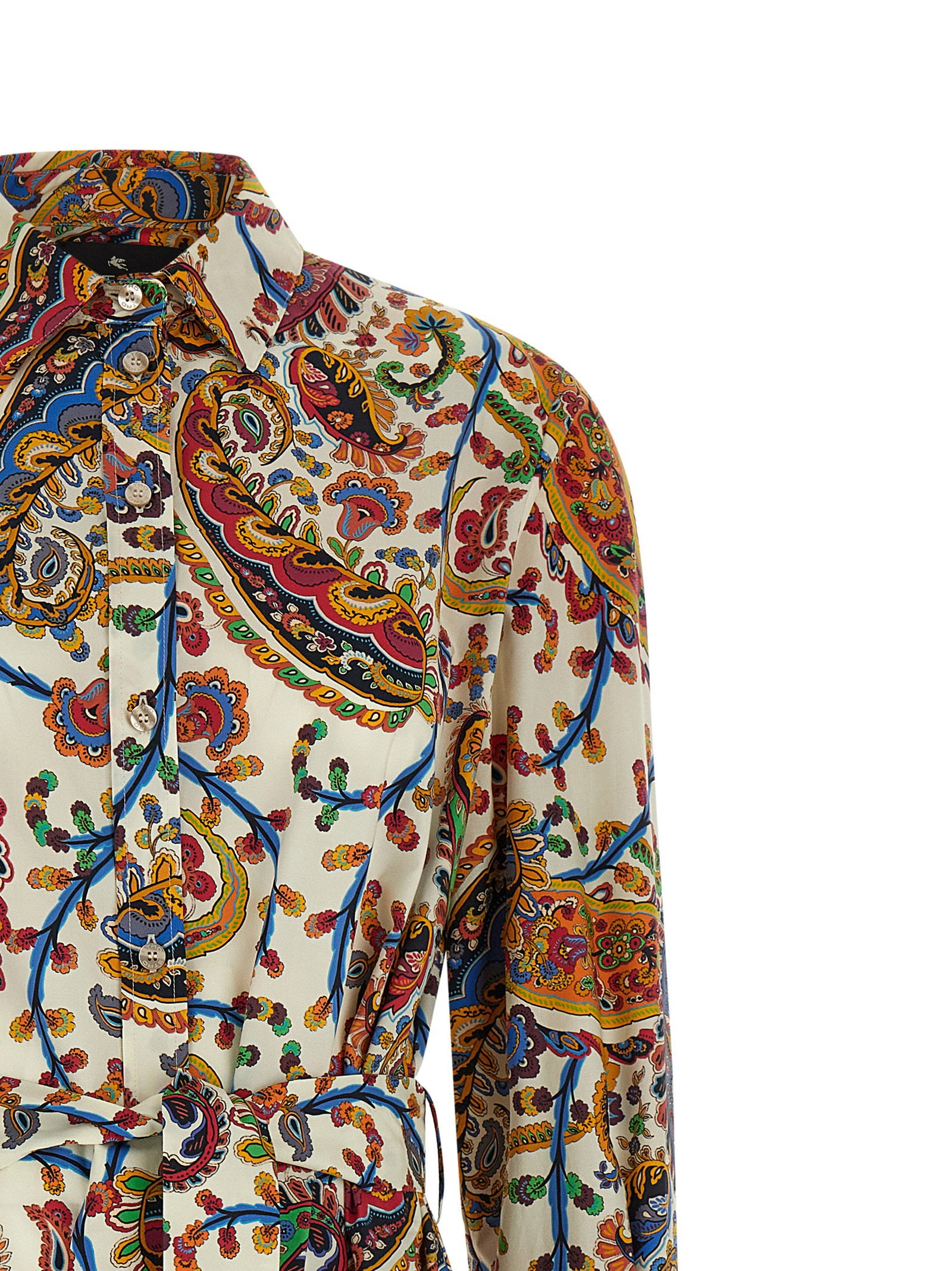 Etro Paisley Foliage Dress