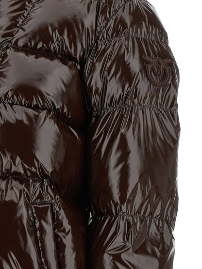 Pinko Eleodoro Down Jacket