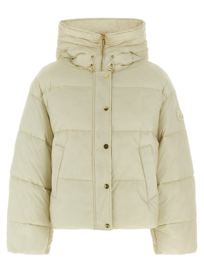 Pinko Impasto Down Jacket