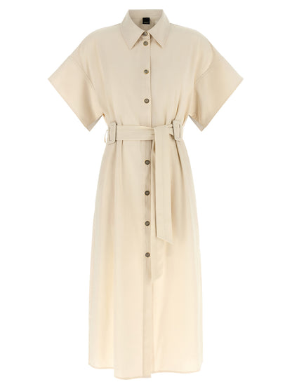 Pinko Alesha Dress