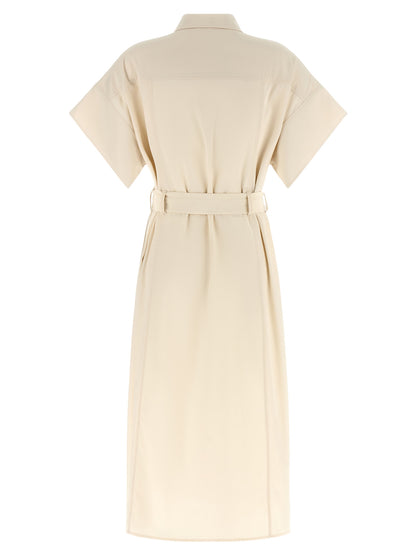 Pinko Alesha Dress