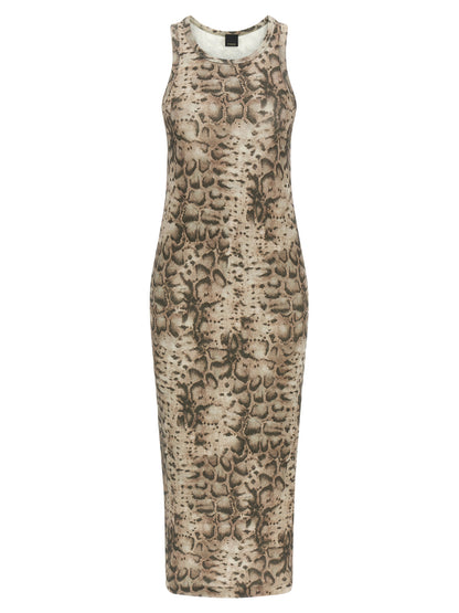 Pinko Novoli Dress