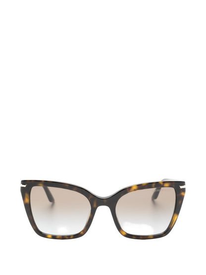 Emporio Armani Sugnlasses