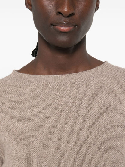 Fabiana Filippi Sweaters BROWN