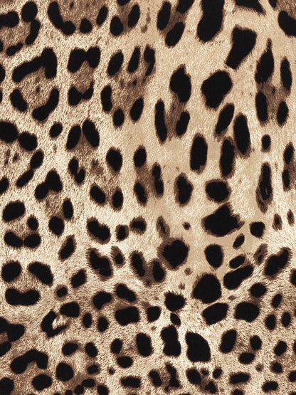 Dolce & Gabbana Leopardo Scarf