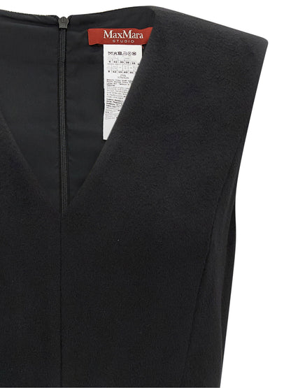 Max Mara Studio Curva Dress