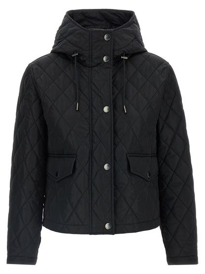 Burberry Pembroke Jacket