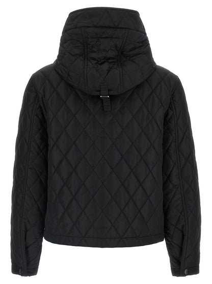Burberry Pembroke Jacket