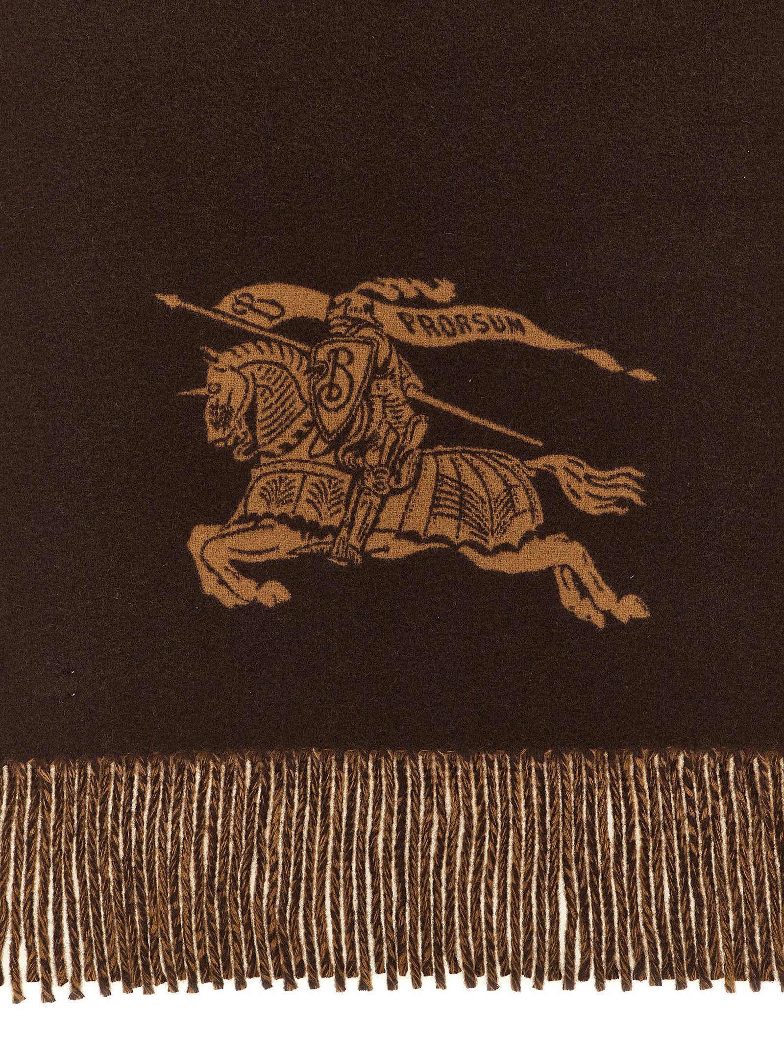 Burberry Knight Reversible Scarf