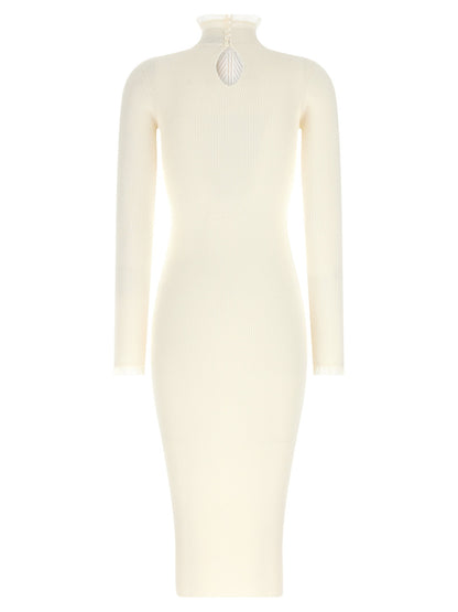 Elisabetta Franchi Ribbed Knit Dress