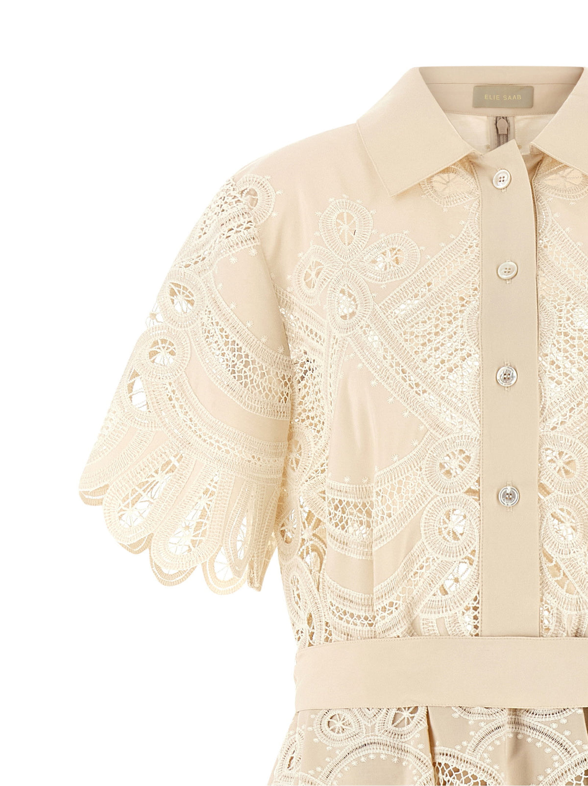 Elie Saab Carving Embroidery Dress