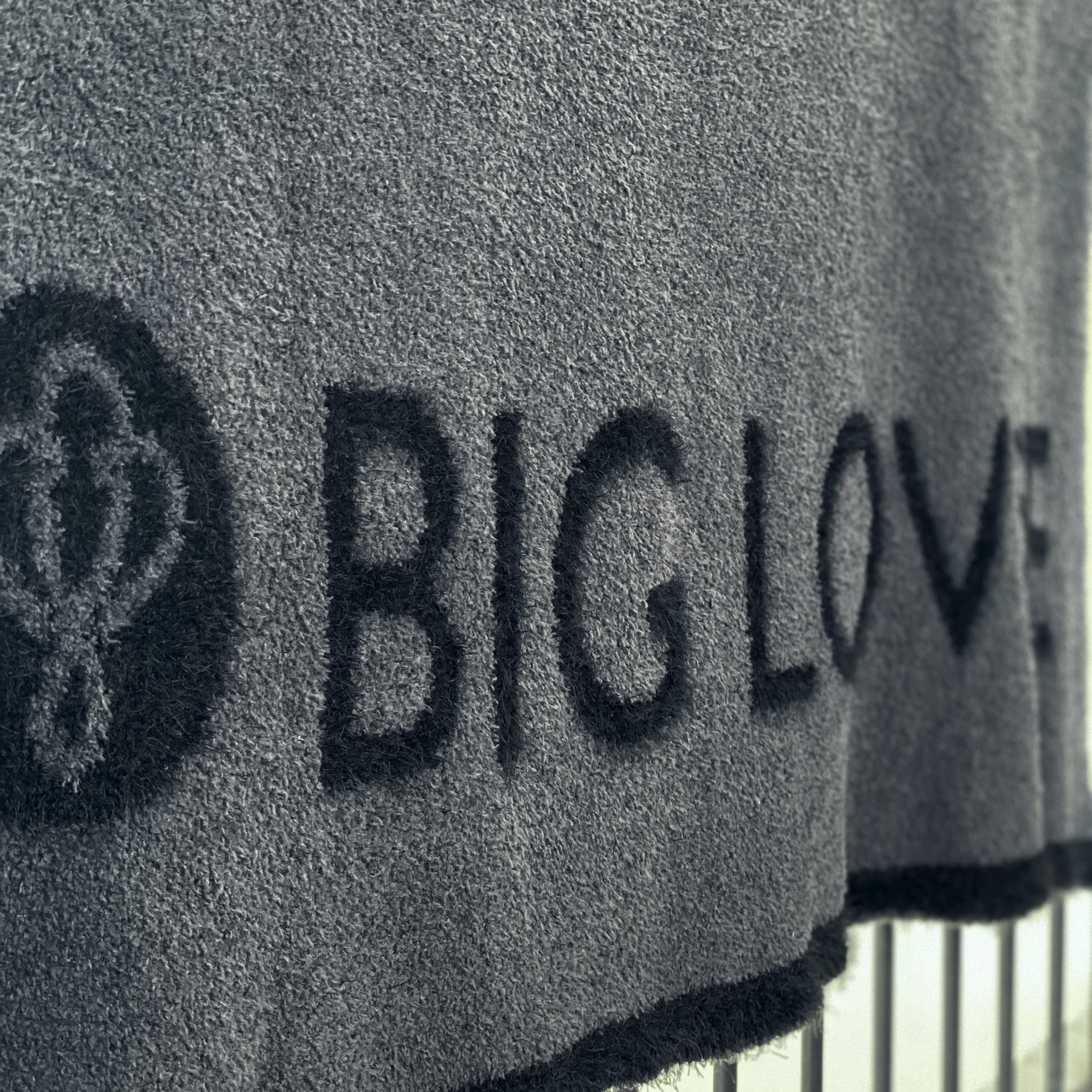 DREAM | BIG LOViE