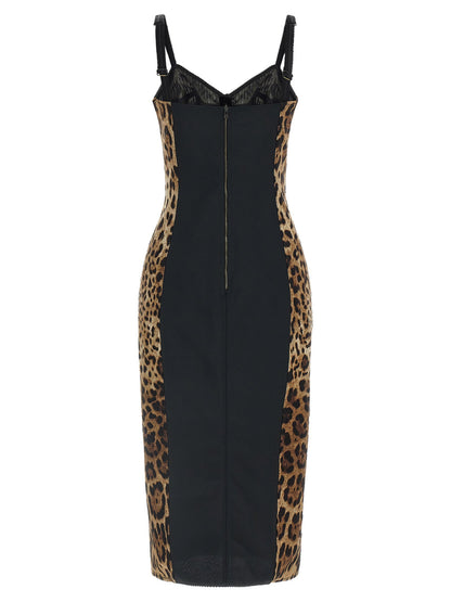 Dolce & Gabbana Animal-print Corset Dress
