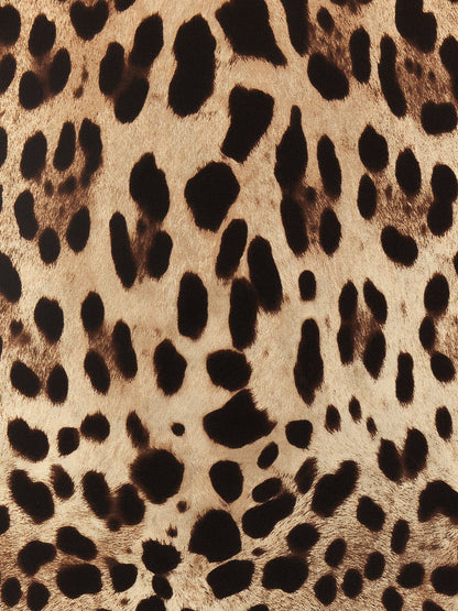 Dolce & Gabbana Leopard Scarf
