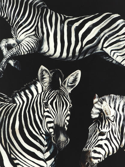 Dolce & Gabbana Zebra Print Scarf