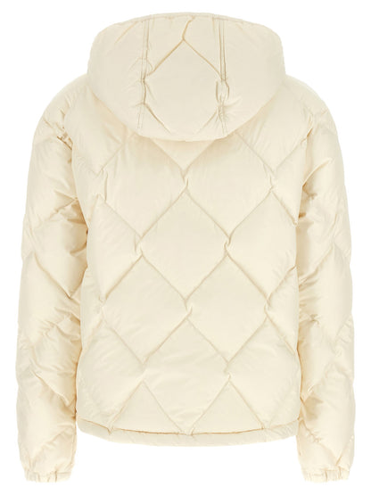 Moncler Arvouinne Down Jacket